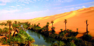 Creating an oasis