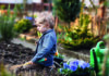 The garden that grew from “No”