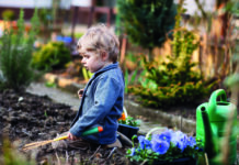 The garden that grew from “No”