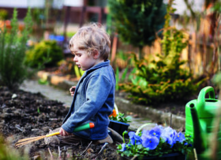 The garden that grew from “No”