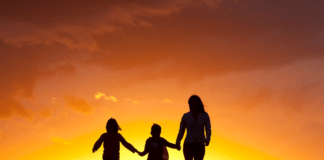 Every carer’s an SEN carer
